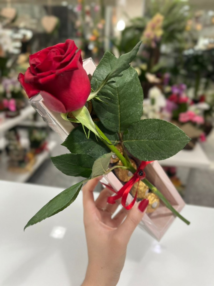 Caixa Você é Especial