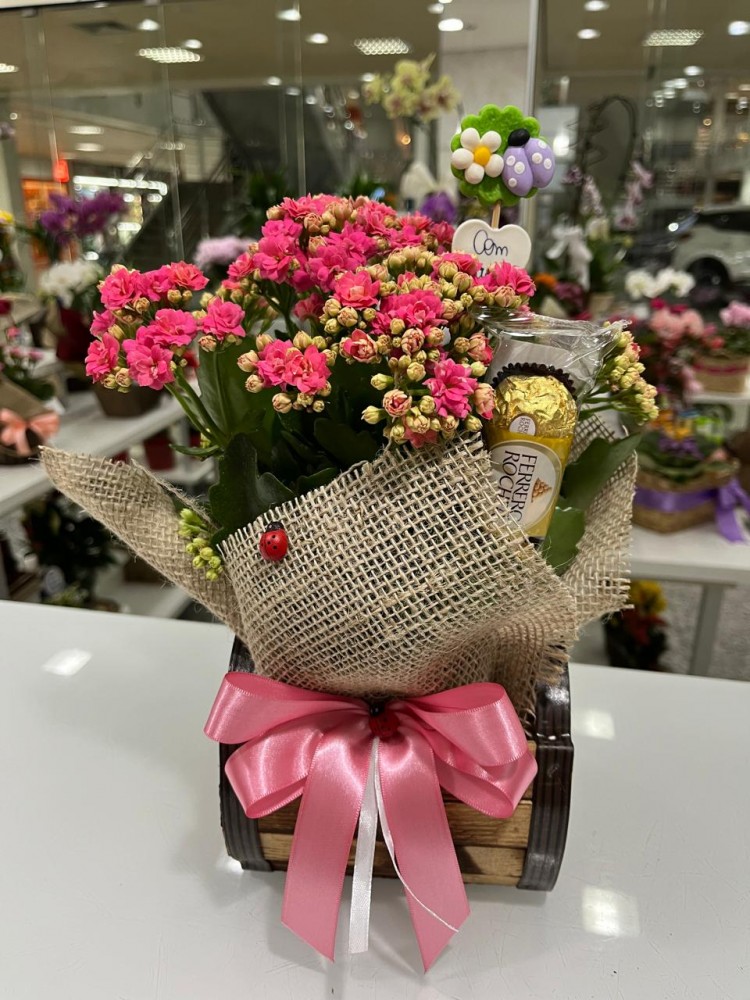 Calandiva com Chocolates